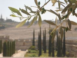 Mont des Oliviers