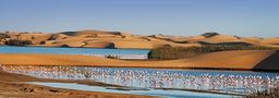 Walvis Bay
