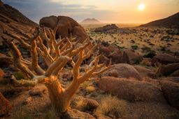 Spitzkoppe