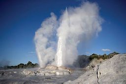Geyser Rotorua Nouvelle Zélande