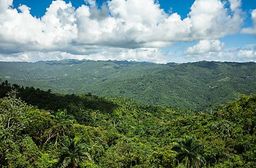 Cuba Sierra de Maestra