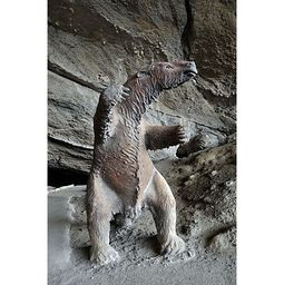 Mylodon - Cueva del Milodon