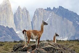 Parc Torres del Paine