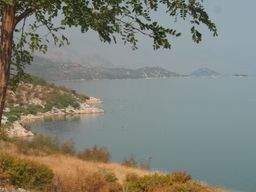 Shkodër