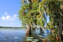 Lake Martin