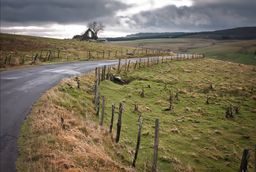 Aubrac