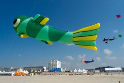 Berck-sur-Mer