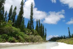 Île des Pins