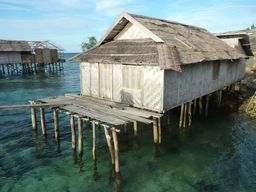 Sulawesi