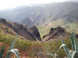 Parque rural Teno