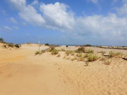 Piscinas