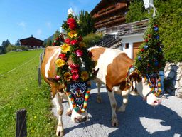 Tyrol