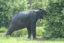 Mole National de Park