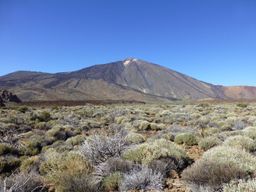 Parque Nacional del Teide