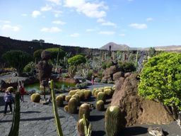 Jardín de Cactus