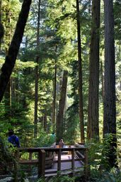 MacMillan Provincial Park
