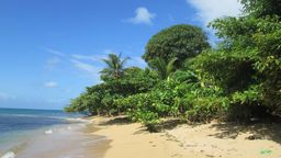Corn Island