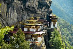 Paro