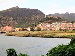 Bosa