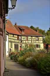 Bergheim