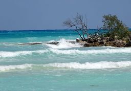 Cayo Coco