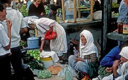 Ulcinj