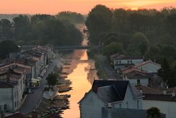 Coulon