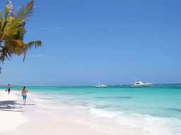 Côte des Cocotiers