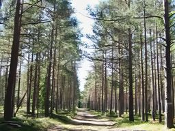 Parc national de Lahemaa