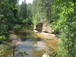 Parc national de la Gauja