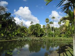 Jardin de Pamplemousses (SSR Botanic Garden)