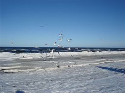 Jūrmala