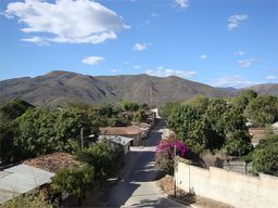 Ocotal