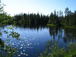 Jokkmokk