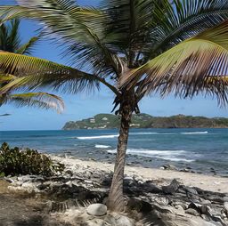 Gros Islet