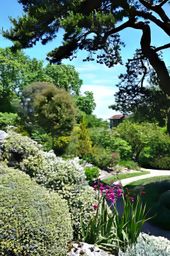 Jardin botanique