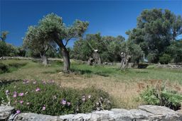 Île de Naxos