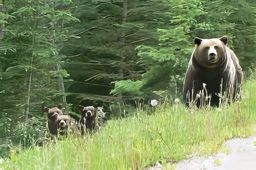 Parc national de Banff