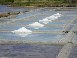 Marais salants de Guérande