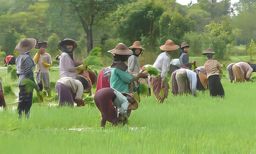 Sud-est du Myanmar (Môn et Karen)