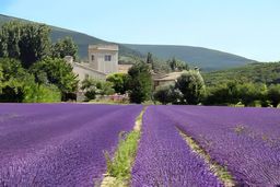 Grignan