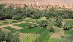 Tineghir