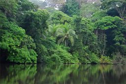 Parc national de Tortuguero