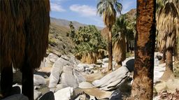 Palm Springs