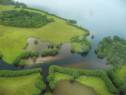 Parc national de Loango