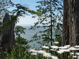 Stanley Park