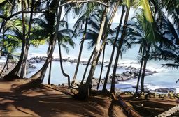 Îles du Salut