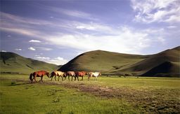 Vallée de l'Orkhon
