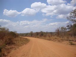 Parc national de South Luangwa