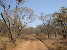 Parc national de Kafue